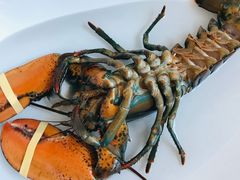 -盒马鲜生(双清路店)