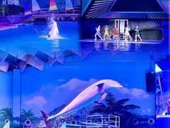 -海合安武汉极地海洋公园