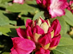 -昆明市金殿名胜区