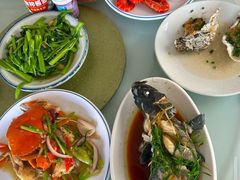 石斑鱼清蒸-八方海味餐厅