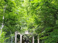 -赭山公园