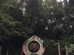 -杭州黄龙洞