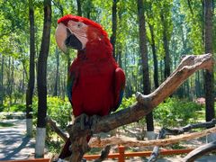 -北京野生动物园