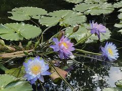 -云溪植物园