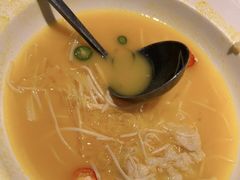 -高第街56号餐厅(泰安万达店)