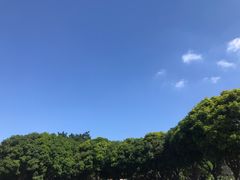 -金砂公园
