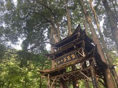 -青城山