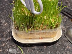 -海底捞火锅(稻河古街夜宵主题店)