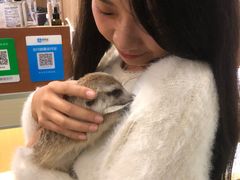-藦茜花园宠物主题亲子互动体验馆(国顺东路店)
