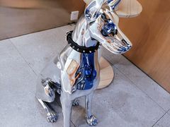 -comecome来吧宠物(奥克斯中心店)