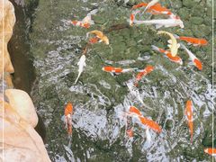 -云溪植物园