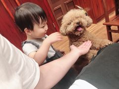 -前门烤鸭(江东中路店)