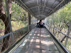 -大芦花风景区