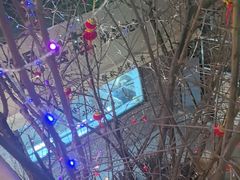 -羊门客在·烤盐池滩羊·川菜