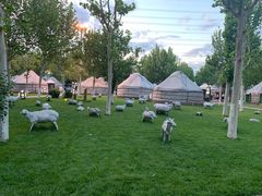 -九十九顶毡房(阜石路店)