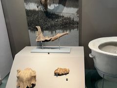 -诸暨博物馆
