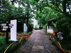 -西溪国家湿地公园