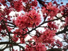 -天龙八部武侠城