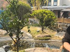 -湘力力小院·鱼汤泡饭(枫林路店)