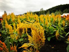 -富田农场