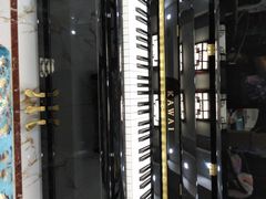 -柏斯琴行(汾阳店)