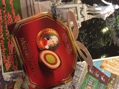 -维也纳莫扎特之家