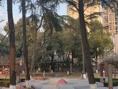 -四川大学(望江校区)