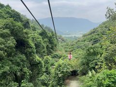 -南丹山森林王国