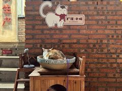 大堂-龙厂长老火锅(抚琴店)