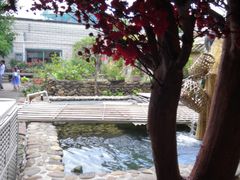 -园林美食城·本土农家菜(杨和镇店)