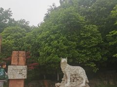 -狼山风景名胜区