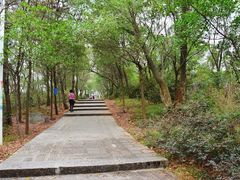 -仙岳公园