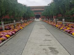 -北京市劳动人民文化宫(太庙)