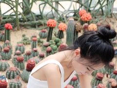 -深圳仙湖植物园-停车场