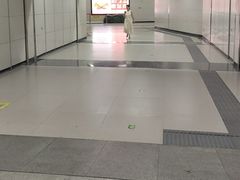 -循礼门鲜花花市(武汉循礼门店)