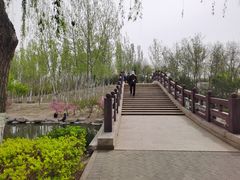 -大兴滨河森林公园