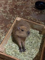 -Zoolung Zoolung动物主题公园(海信广场店)