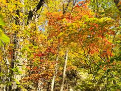 -本溪老边沟风景区