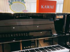 -柏斯音乐艺术中心·钢琴·吉他(上音店)