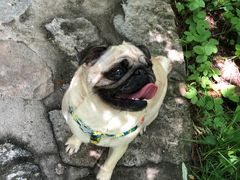 -青峰峡国家森林公园