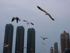 -星海广场