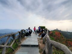 -梧桐山风景名胜区