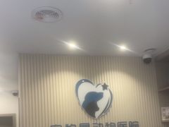 -宠物星动物医院·眼科·异宠·猫科(江南大道总院)