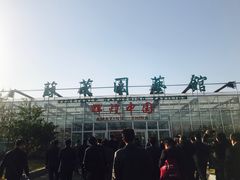 -兰陵国家农业公园