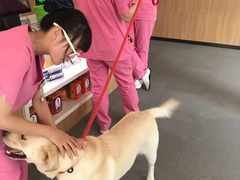 -爱妮康宠物医院·干细胞免疫细胞·肿瘤·心脏(张江店)