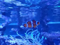 -zoonana室内动物园(东方福来德店)