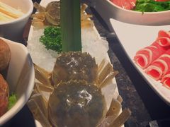 -海底捞火锅(连城广场店)