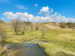 -塞罕坝国家级自然保护区
