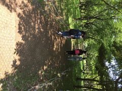 iphone_upload_pic-汉拿树木园