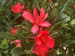 -花溪公园